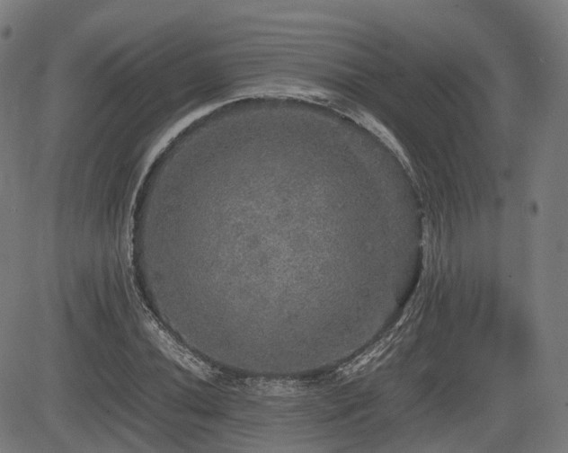 X0000085271020200703091346