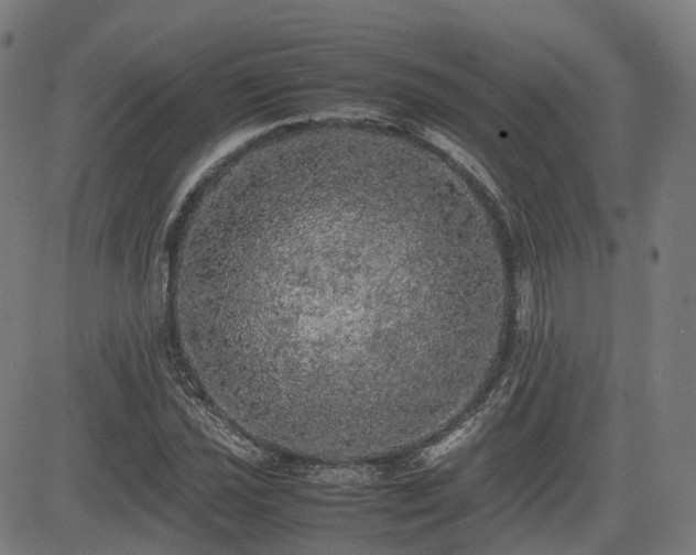 X0000085271021200703091346