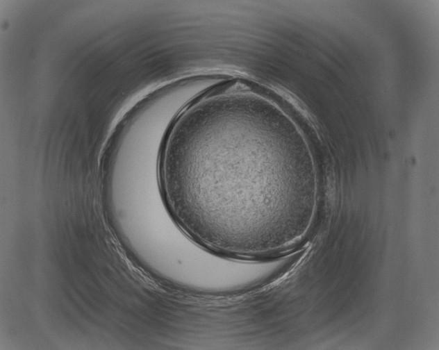 X0000085271022200703091346