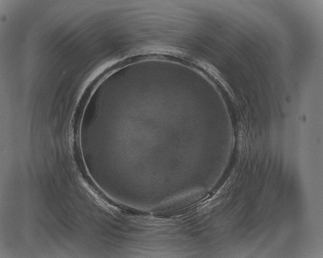 X0000085271024200703091346