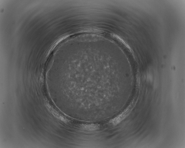 X0000085271025200703091346