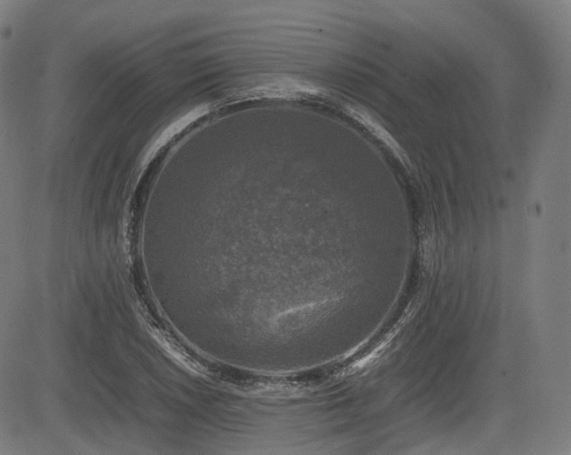 X0000085271026200703091346