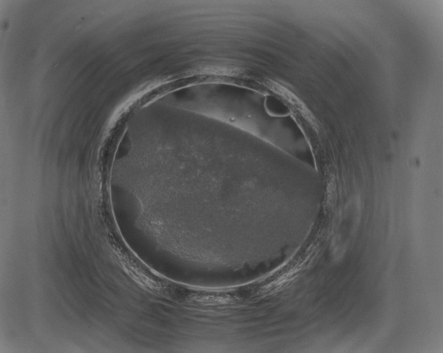 X0000085271027200703091346