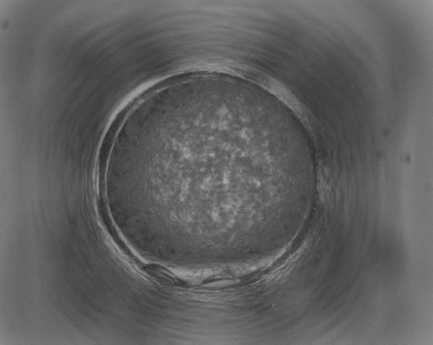 X0000085271028200703091346