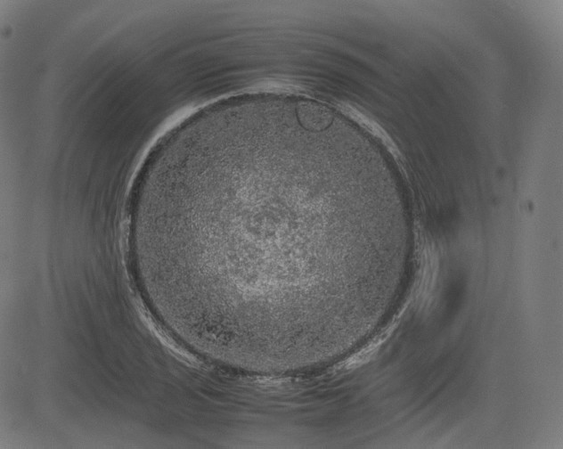 X0000085271029200703091346