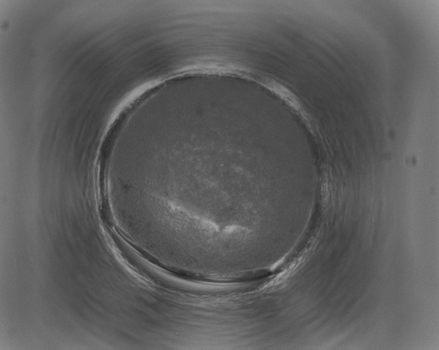 X0000085271030200703091346