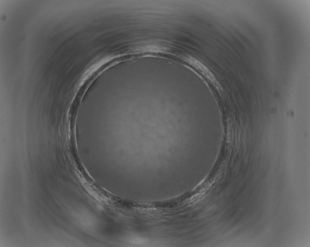 X0000085271031200703091346