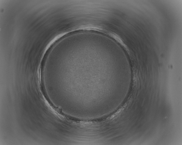 X0000085271032200703091347