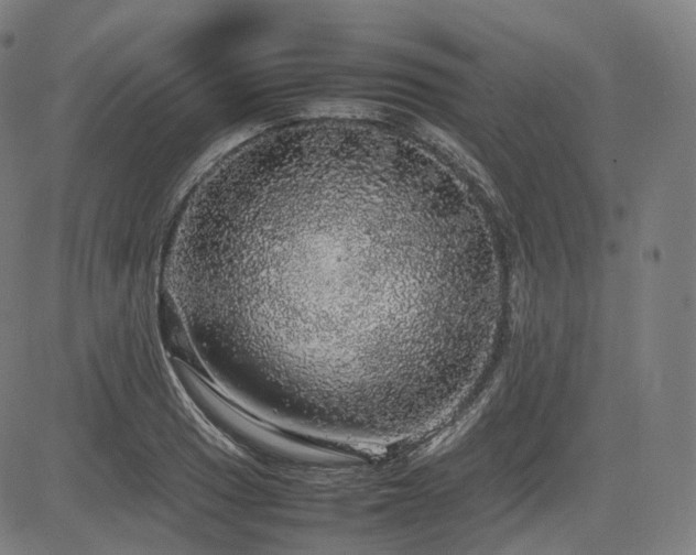 X0000085271033200703091347