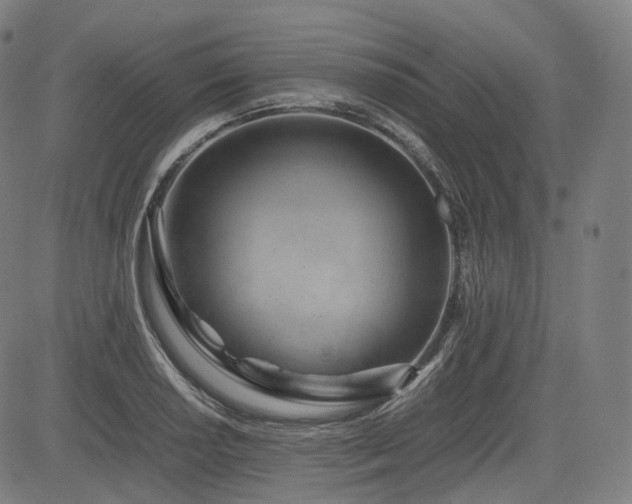 X0000085271034200703091347