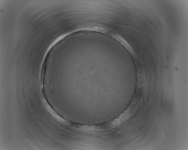 X0000085271036200703091347