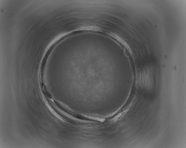 X0000085271037200703091347