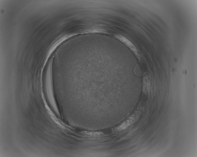 X0000085271039200703091347