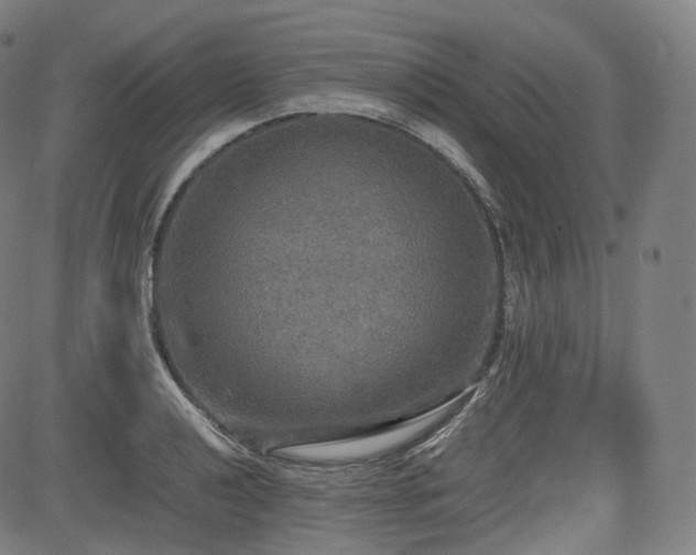 X0000085271040200703091347