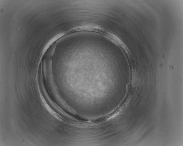 X0000085271042200703091347