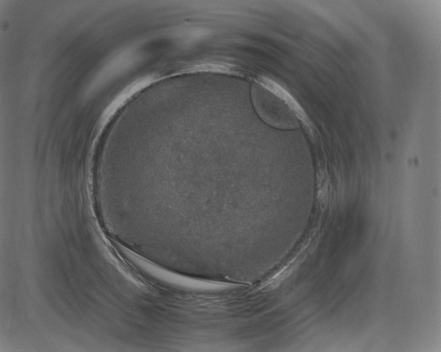 X0000085271043200703091347