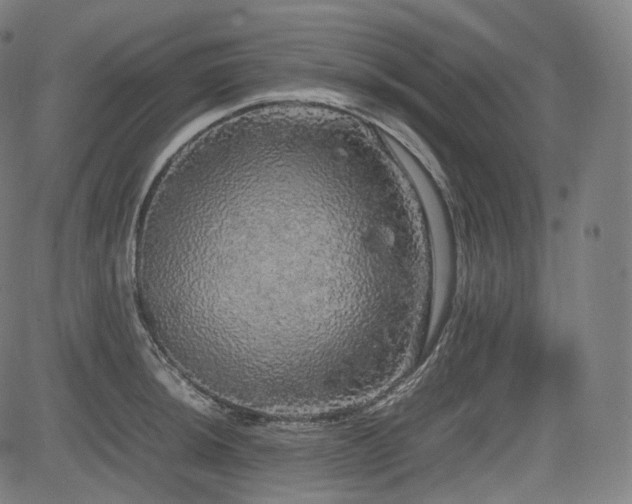 X0000085271044200703091347