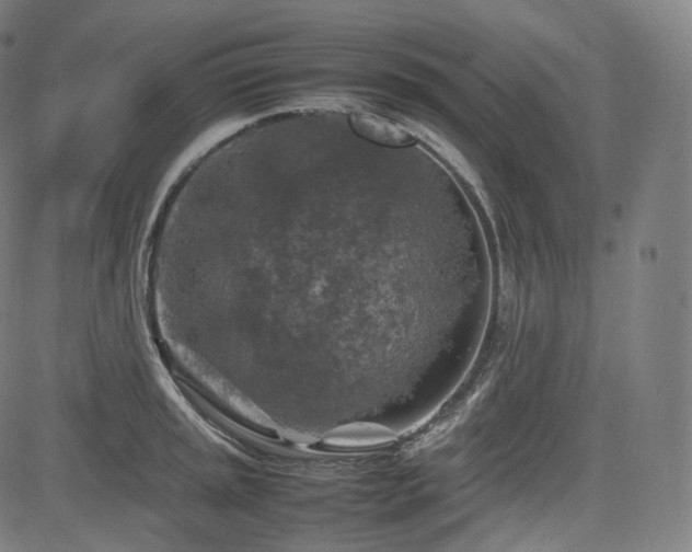 X0000085271045200703091347