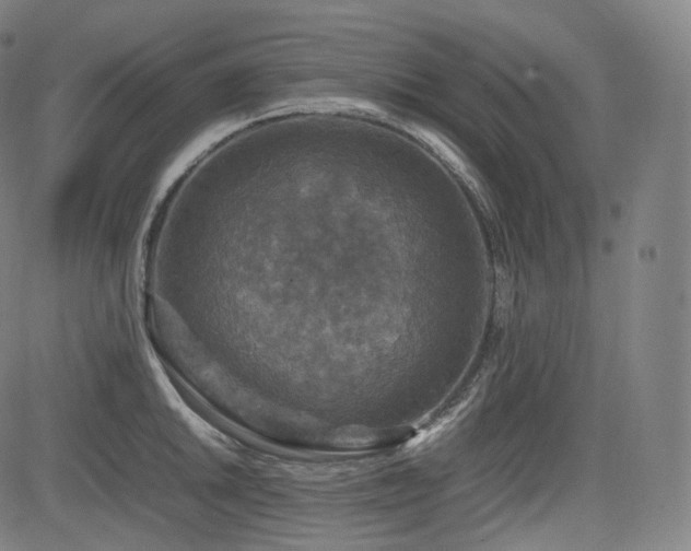 X0000085271046200703091347