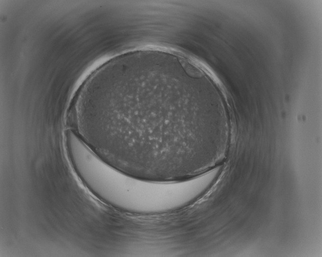 X0000085271048200703091347