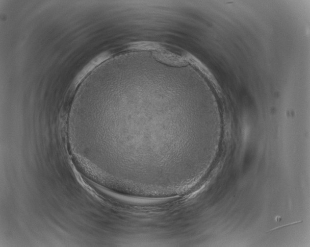 X0000085271049200703091347