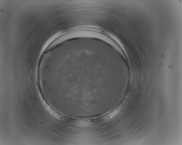 X0000085271050200703091347