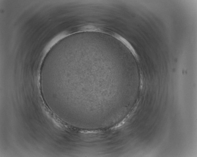 X0000085271051200703091347