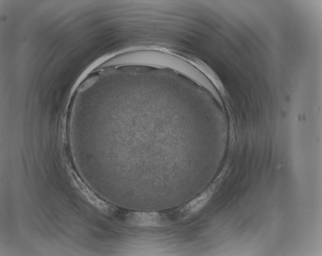 X0000085271052200703091347