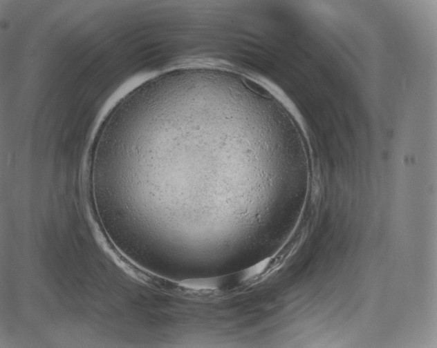 X0000085271053200703091347