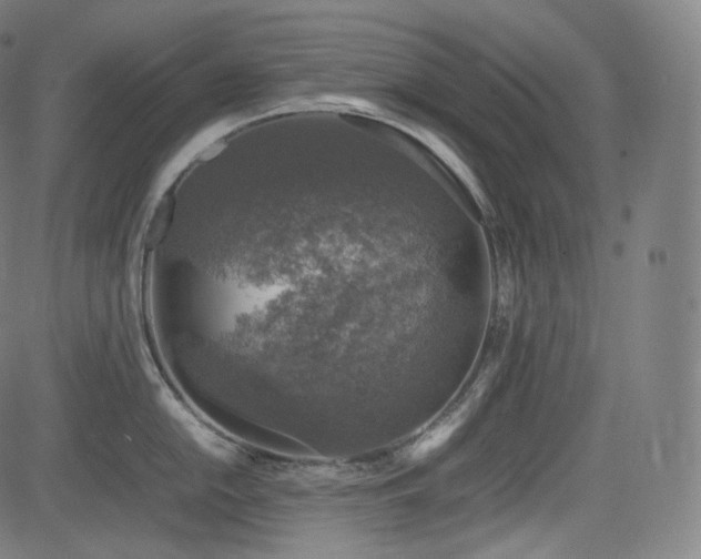 X0000085271054200703091347