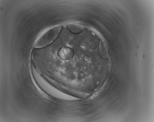 X0000085271055200703091347