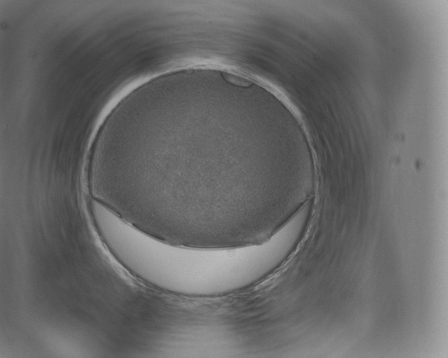 X0000085271056200703091347