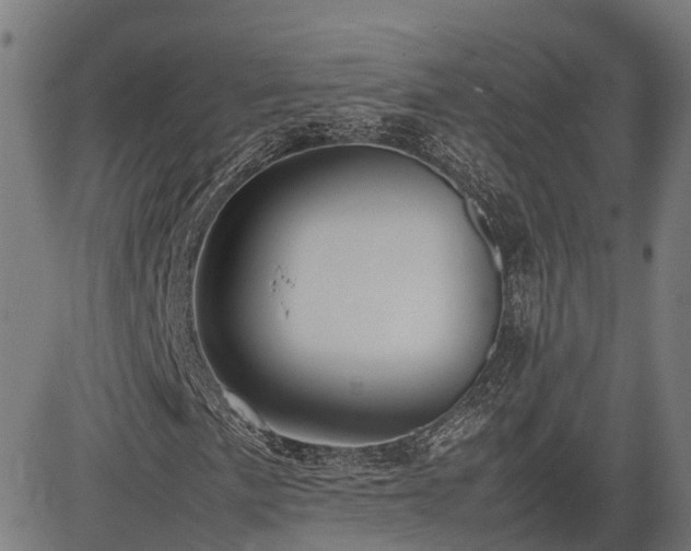 X0000085271057200703091346