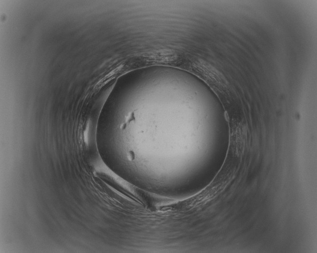 X0000085271058200703091346