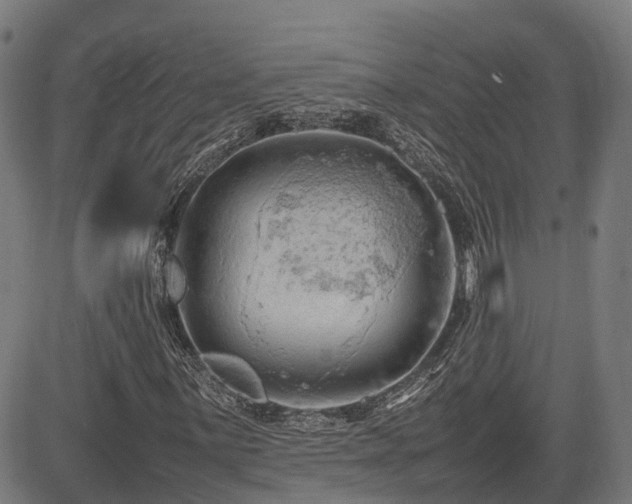 X0000085271059200703091346