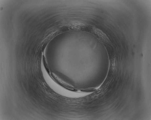 X0000085271060200703091346