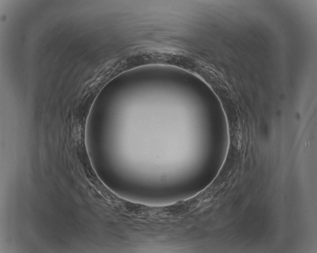 X0000085271061200703091346