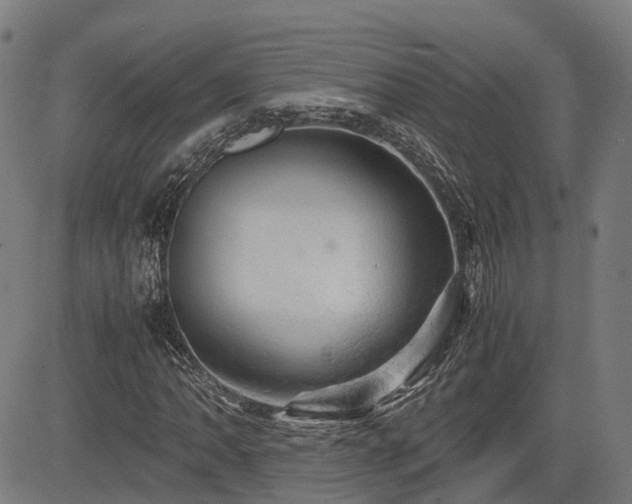 X0000085271062200703091346