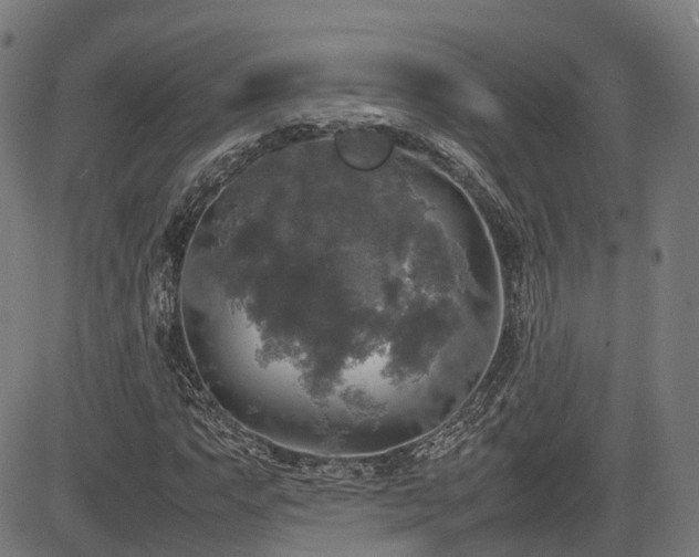 X0000085271063200703091346