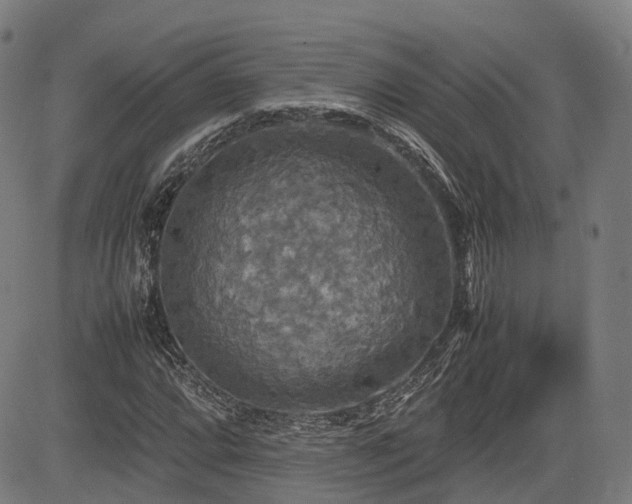 X0000085271064200703091346