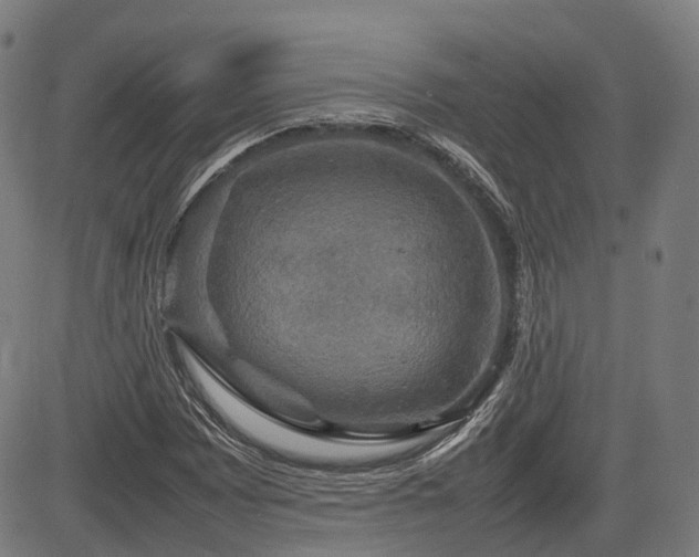 X0000085271065200703091346