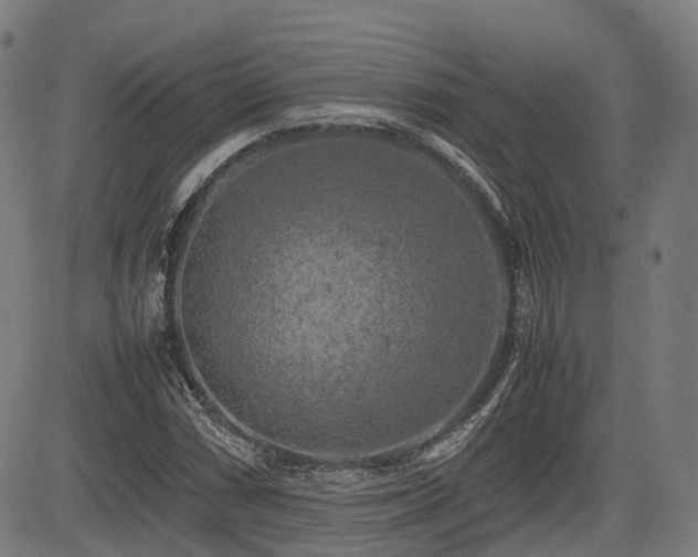 X0000085271066200703091346