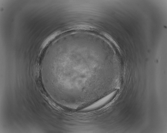 X0000085271067200703091346