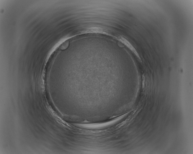 X0000085271068200703091346