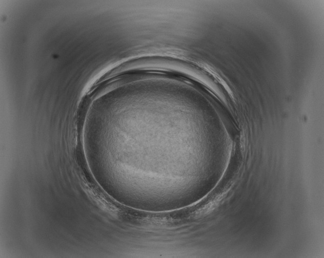 X0000085271069200703091346