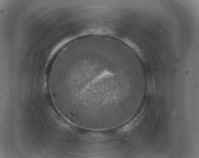 X0000085271070200703091346