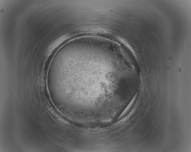 X0000085271071200703091346