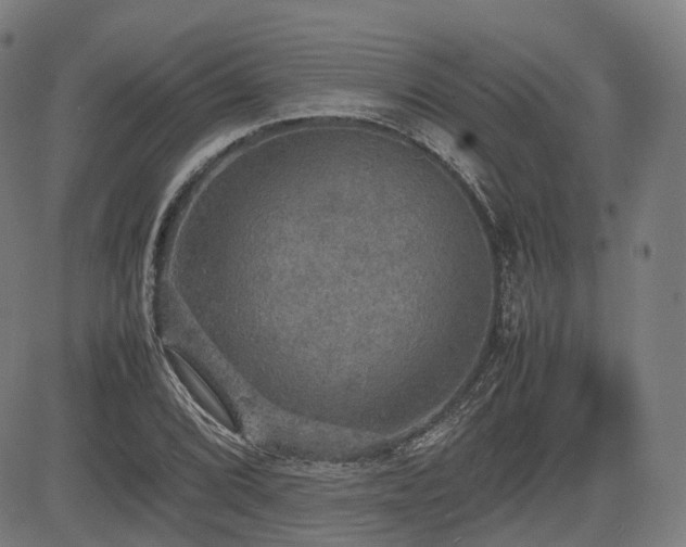 X0000085271072200703091346