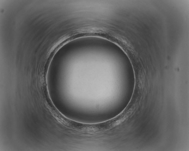 X0000085271073200703091346