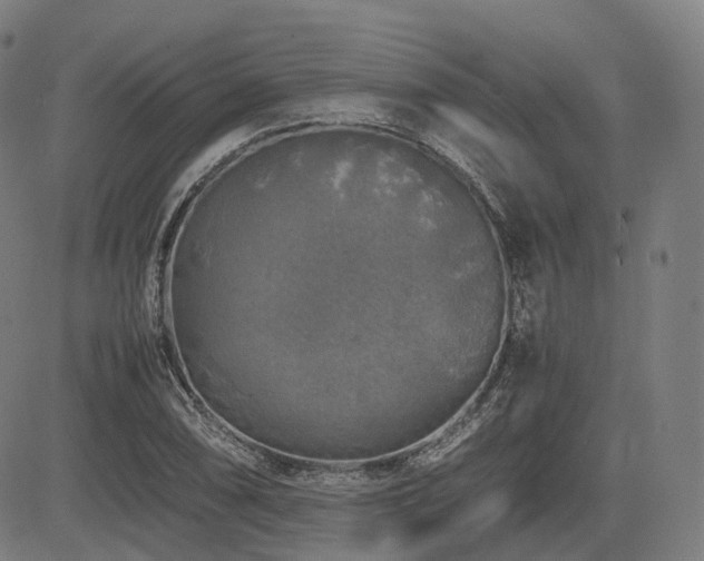 X0000085271074200703091346